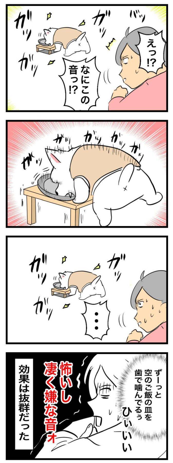 ちーちゃんですけどもっ【第355話】「食欲増進剤」