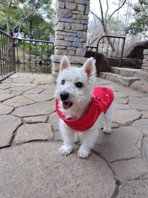 ちーちゃんですけどもっ【第355話】「食欲増進剤」