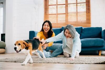 犬が突然『興奮してしまう』理由5つ　主な要因や止めさせたいときの対応まで