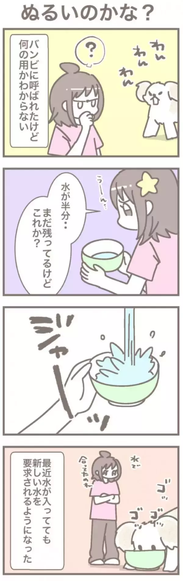 うちの王様にはどうしても抗えない【第363話】「ぬるいのかな？」