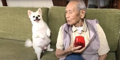 犬に『じーちゃん帰ってくるよ』と言った結果…再会を全身で喜ぶ光景に涙が出ると168万再生「泣ける」「関係が尊すぎる」と絶賛の声