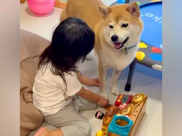 おうちに遊びに来た『３匹の犬』と遊ぶ女の子→帰る時間になると…離れたくなくて見せた『愛おしい光景』に反響「大好きなんだね」「たまらん」