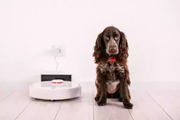 犬の『抜け毛』ロボット掃除機を使っても大丈夫？オススメなお掃除の手順や対策まで解説