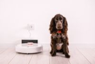 犬の『抜け毛』ロボット掃除機を使っても大丈夫？オススメなお掃除の手順や対策まで解説