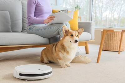 犬の『抜け毛』ロボット掃除機を使っても大丈夫？オススメなお掃除の手順や対策まで解説