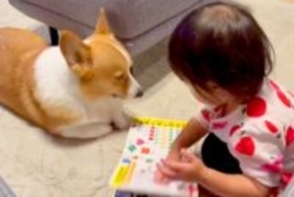 犬に『絵本の読み聞かせ』をする２歳の女の子→ずっと見ていたい『幸せな光景』が話題「めくるときに鼻に当たるの可愛い」「きゃわたまらん」