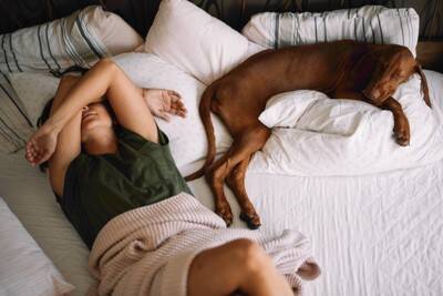 犬と一緒に寝ると運気が下がる？風水的に良くないといわれている理由まで解説