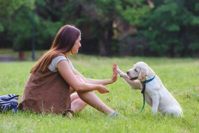 犬がもたらす幸せホルモン『オキシトシン』とは？愛犬と触れ合うことで得られる効果まで