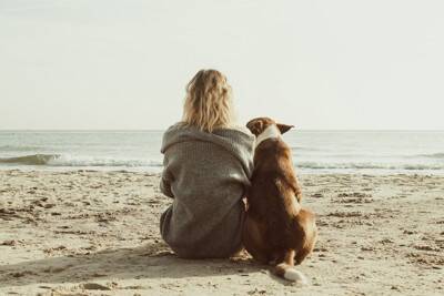 犬がもたらす幸せホルモン『オキシトシン』とは？愛犬と触れ合うことで得られる効果まで