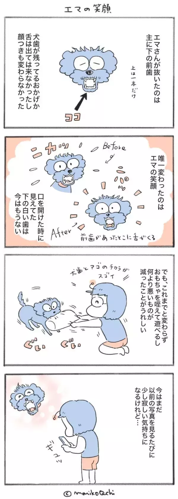 犬と暮らせば【第556話】「エマの笑顔」