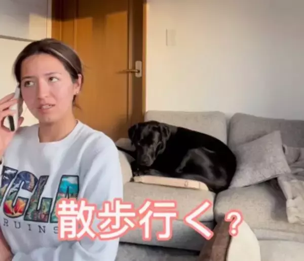 電話中に『大型犬が大好きな言葉』を言ってみたら…"素直すぎるリアクション"が63万9000再生「うちも同じような反応するｗ」と共感の声