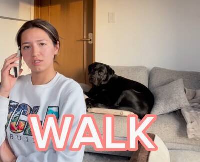 電話中に『大型犬が大好きな言葉』を言ってみたら…"素直すぎるリアクション"が63万9000再生「うちも同じような反応するｗ」と共感の声