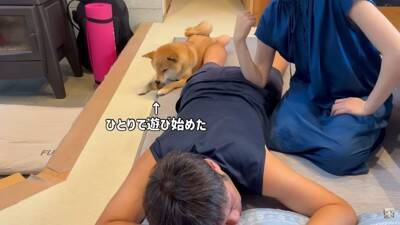 夫をマッサージしていたら、それを見た犬が…まさかの尊い光景と『衝撃的な結末』が28万再生「爆笑しすぎて涙出た」「パパの笑い声ｗ」と絶賛