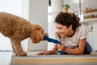 犬と一緒にできる『脳トレ』５選　愛犬を満足させる簡単な遊びやトレーニングのメリットまで