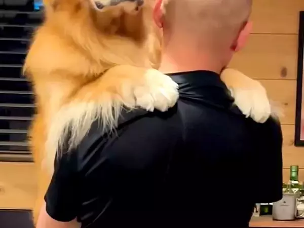 お父さんに抱っこをせがむ大型犬→なぜか元気がなくて…不機嫌になった『可愛すぎる理由』が151万再生「お口がへの字ｗ」「正直でよろしいｗ」