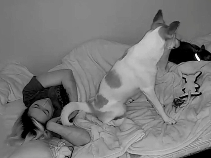 夜、飼い主と一緒に寝る元保護犬→突然起き上がり…カメラが映した『まさかの行動』が泣けると3万いいね「可愛すぎて涙が出た」「私も混ぜて」