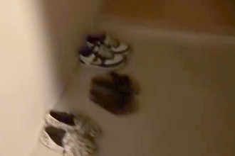 深夜に帰宅し『さすがに犬のお出迎えはないかな』と思ったら…電気をつけた瞬間→『まさかの光景』が18万再生「たまらない」「最高の時間」