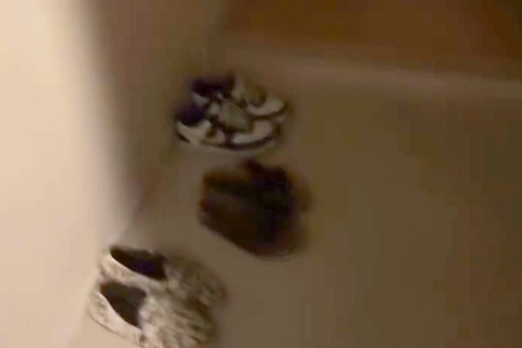 深夜に帰宅し『さすがに犬のお出迎えはないかな』と思ったら…電気をつけた瞬間→『まさかの光景』が18万再生「たまらない」「最高の時間」