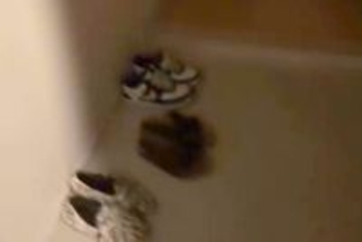 深夜に帰宅し『さすがに犬のお出迎えはないかな』と思ったら…電気をつけた瞬間→『まさかの光景』が18万再生「たまらない」「最高の時間」