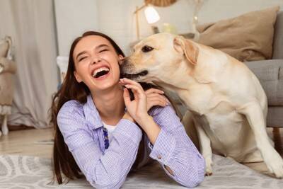 犬が『飼い主のニオイ』を嗅ぐのはなぜ？放っておいて大丈夫？執拗にクンクンしてくる理由まで
