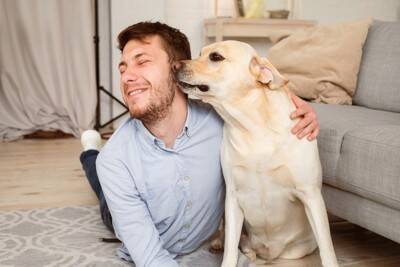 犬が『飼い主のニオイ』を嗅ぐのはなぜ？放っておいて大丈夫？執拗にクンクンしてくる理由まで