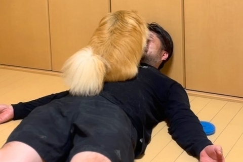 夫のことが大好きな犬→『顔を舐めて愛情表現している』と思ったら…想定外すぎた『まさかの行動』が24万再生「爆笑したｗ」「フルコースで草」