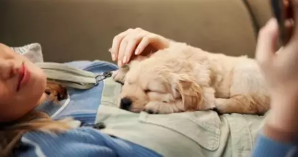 犬が『人の体の上で眠る』心理５選　愛犬が飼い主と寝たがる理由や注意すべきことまで解説