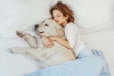 犬が『人の体の上で眠る』心理５選　愛犬が飼い主と寝たがる理由や注意すべきことまで解説