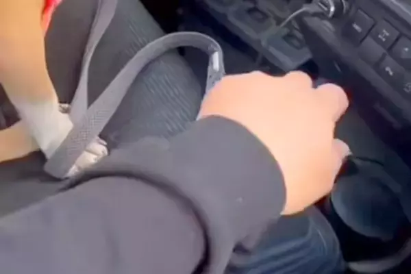 車の助手席に座る犬→飼い主が『シフトレバーの上に手を置いた』瞬間…まさかの光景が18万再生「強引な彼女ｗｗ」「あざとい女子で草」と反響