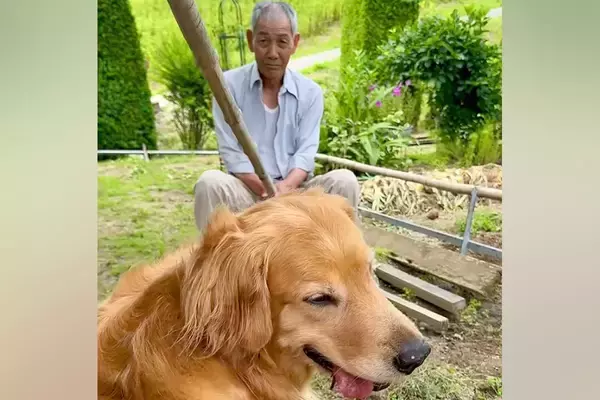 大型犬にイタズラするおじいちゃん→見ていたおばあちゃんが…想像の上をいく『ブチギレ』が13万再生「俺か！？ってなってるｗｗ」「魂の叫び」