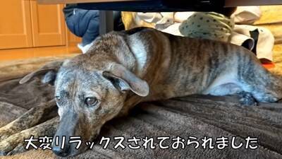 犬が『自分だけ置いて行かれる』と勘違いしたときの反応…家族への愛を感じる切ない姿に「愛おしい」「硝子のハート」と23万再生