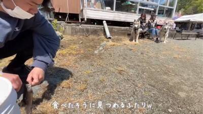 ハスキー犬が小型犬に追いかけ回された結果…ドッグランでのおもしろ過ぎる光景が92万再生「声出して笑った」「躍動感がすごいｗ」