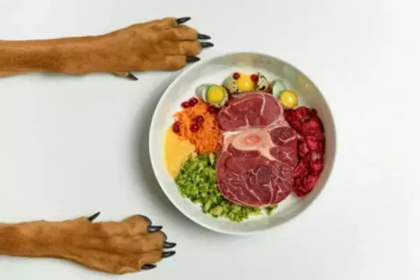 犬に『人間の食べ物を与えてはいけない』理由５選　食べてしまったときの健康被害や危険な症状まで