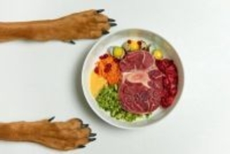 犬に『人間の食べ物を与えてはいけない』理由５選　食べてしまったときの健康被害や危険な症状まで