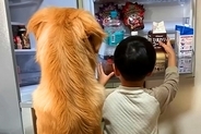 冷蔵庫を一緒にのぞく『5歳の男の子と大型犬』→3年後…素敵すぎる『成長した光景』が251万再生「温かい気持ちになる」「最高に微笑ましい」