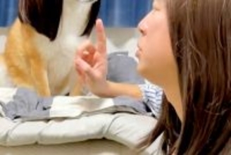 OLごっこをするため『犬にカツラを被せた』結果→あまりにも似合いすぎている光景が538万再生「北川景子で草」「髪かきあげてて爆笑ｗｗ」