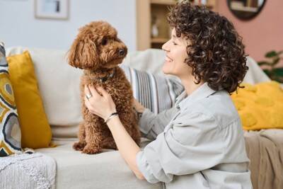犬に苦痛を与える『優しい虐待』５選　今すぐに改善すべき絶対NG行為まで