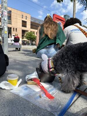 犬と暮らせば【第513話】「土地をアップデートする」