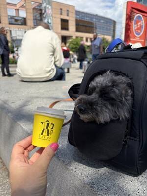 犬と暮らせば【第513話】「土地をアップデートする」