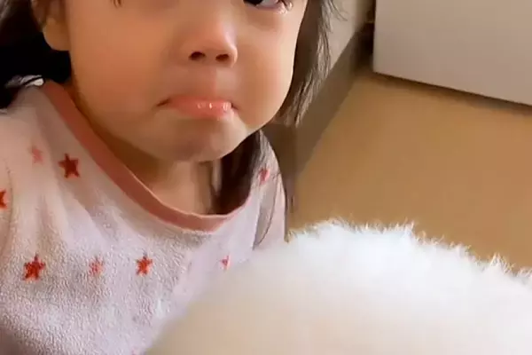朝、3歳の女の子が『寝ている犬を起こそうとした』結果→反応がなく『死んでしまった』と勘違いして…愛に溢れた光景が52万再生「演技派ｗ」