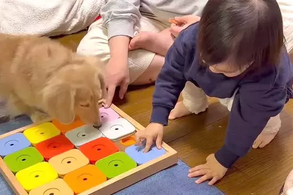 赤ちゃんが『犬のオヤツ』をおもちゃの中へ隠した結果→思いもよらない『まさかのオチ』に反響「爆笑したｗｗｗ」「優しいね」「可愛すぎ」