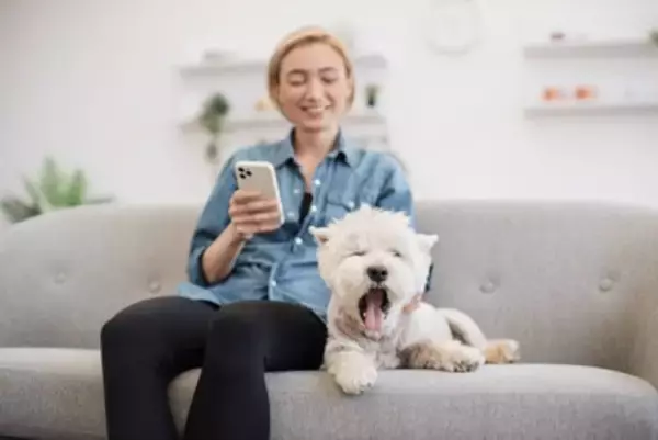 犬が『あくび』をする理由4つ　眠いだけじゃない？注意すべき状態まで