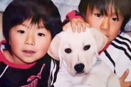 小さい頃から男の子たちと育った大型犬→闘病の末、お別れが訪れ…忘れられない『17年間の記憶』が25万再生「大切な宝物」「涙がとまらない」