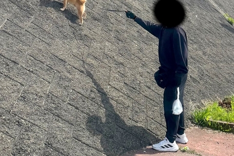 『急な斜面』を駆け上がる犬→思った以上に『得意げな表情』が可愛すぎると259万表示「ヤギ顔負けｗｗ」「小学生男子の心を持ってる」と反響