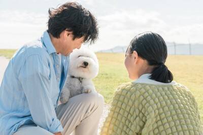 『人間が大好きな犬』の特徴５選　人懐っこいワンコの共通点や警戒心を解く方法まで