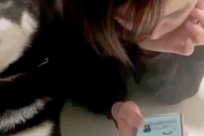 スマホに夢中のお姉ちゃん→犬が『撫でて』とアピールしても、気付いてくれなくて…可愛すぎる『最終手段』に反響「なんて尊い」「無理可愛い」