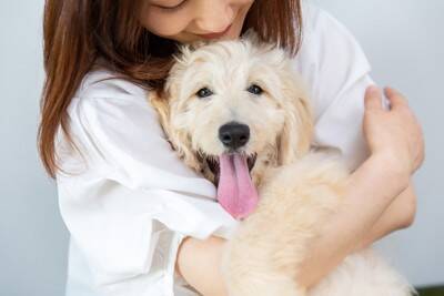 『優しい性格の犬』に育てる5つの方法　性質はどう決まるの？穏やかなワンコにみられる共通点まで