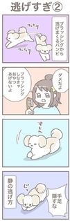 うちの王様にはどうしても抗えない【第344話】「逃げすぎ②」