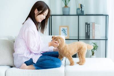 犬を『アクセサリー感覚』で飼っている人の特徴5選　愛犬を苦しめる最低な行動とは？