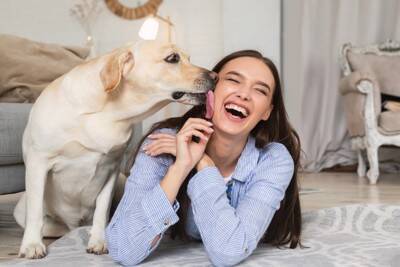 犬の飼い主が無意識にやりがちな『NG行為』5つ　愛犬にストレスや苦痛を与えるタブー行動まで